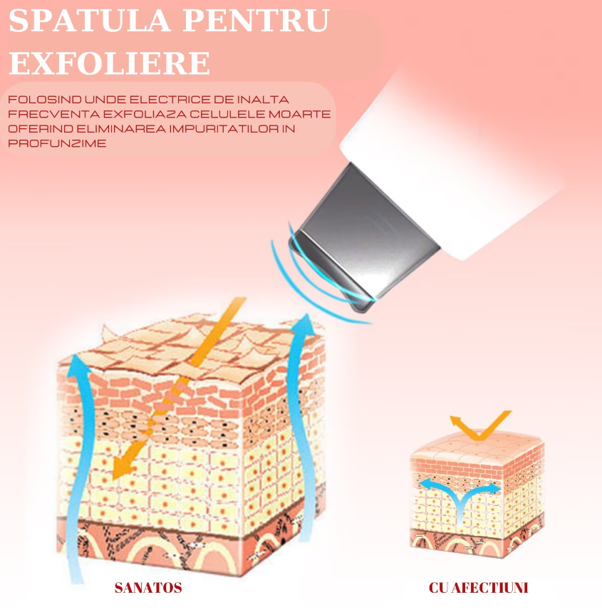 Schita anatomica a pielii care demonstreaza modul in care spatula pentru exfoliere cu vibratii indeparteaza celulele moarte de la suprafata epidermei.
