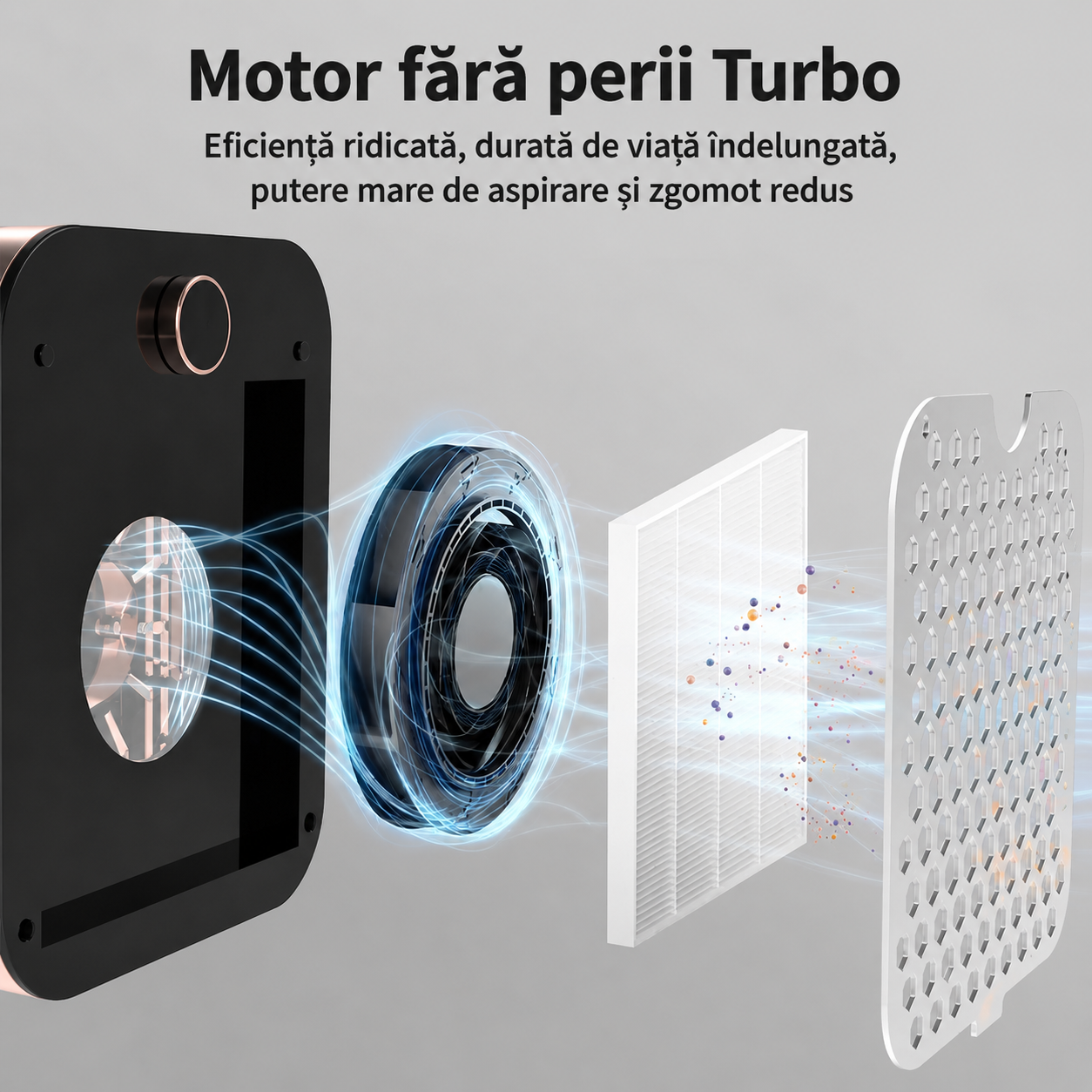 Aspirator Praf Unghii Profesional Blueque 858-18 | 60W | Reincarcabil prezentat descompus in sectiune, evidentiand motorul turbo fara perii si filtrul de praf detasabil.